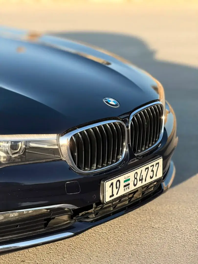 Rent 2016 BMW 7 Series in Black - Luxury Sedan for rent in Damascus, Syria — BMW — photo 7 of 16