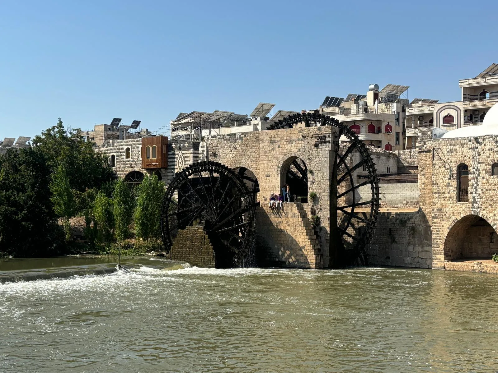 Hama